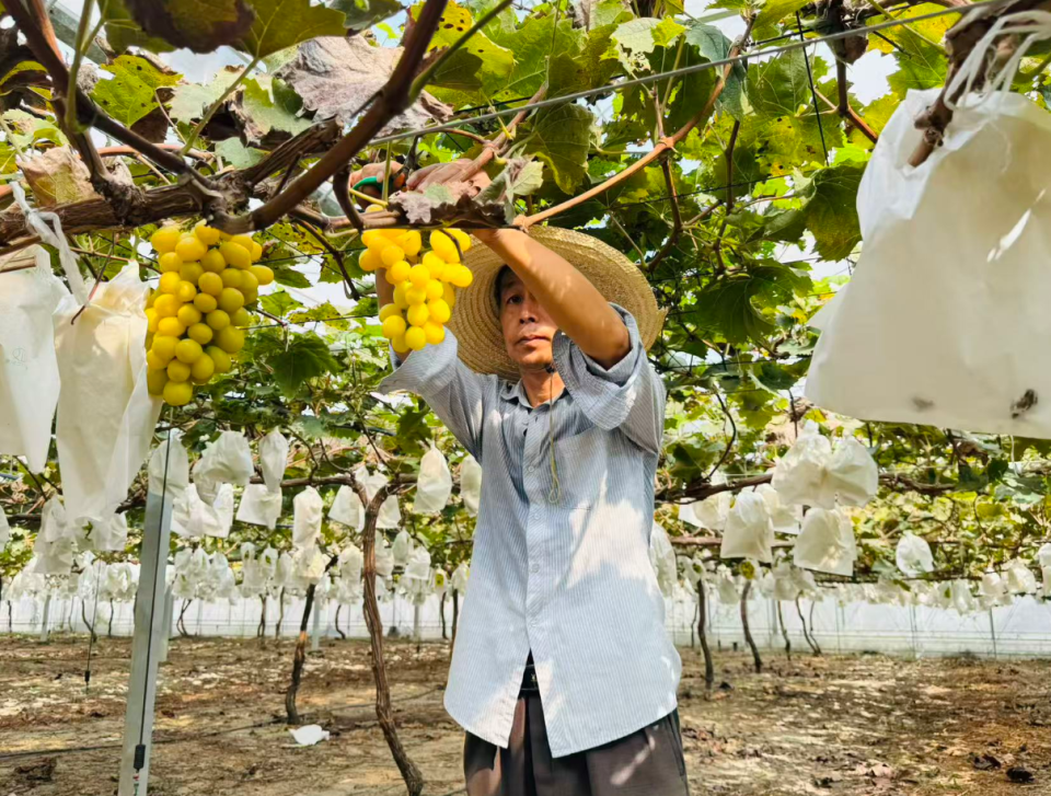 影响力, 包含, 文魅力 影响力, 包含, 文魅力